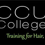 Cosmetology Careers Unlimited College of Hair Skin and Nails logo